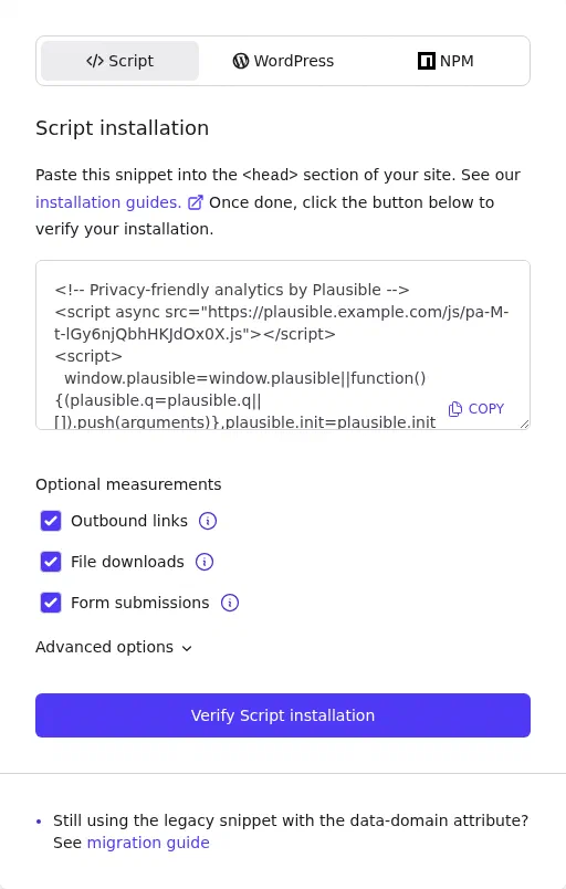 The Plausible Script installation step with the tracking snippet and a Copy button